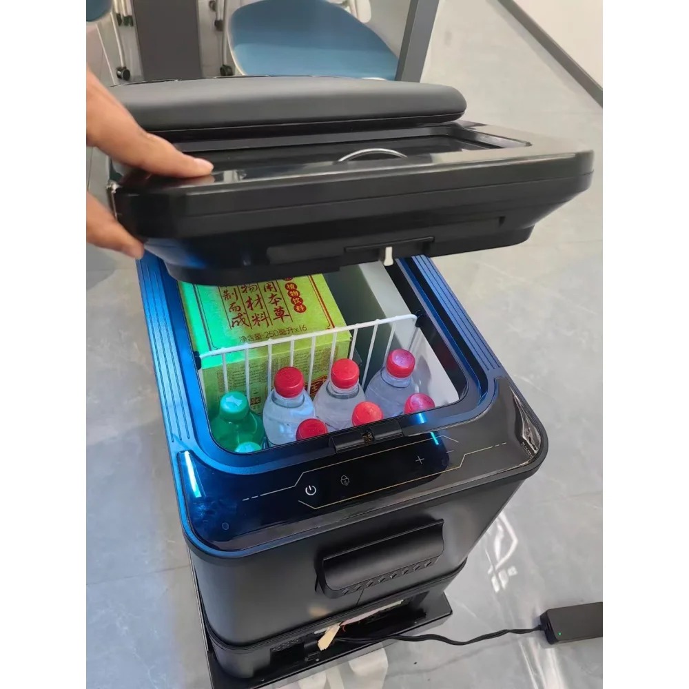 Sprinter Armrest Ice Maker with Compressor Freezer Portable Plastic 12V Mini Fridge for Car